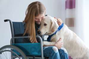 Picture of girl in wheelchair with service dog